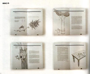 Lin Shijian, «Art in Book» -   